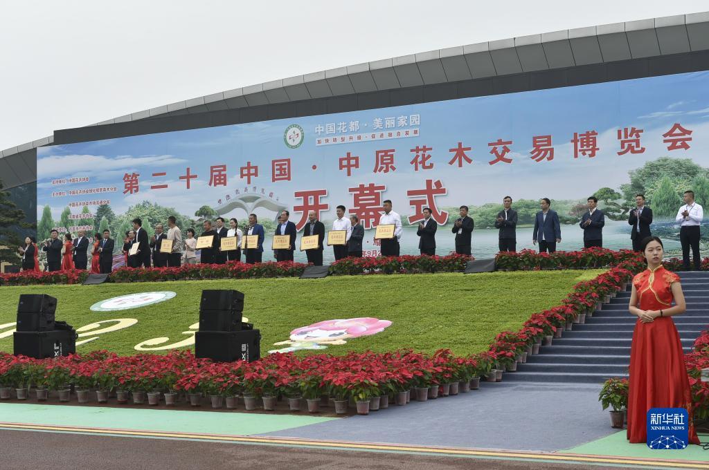 手机认证送免费彩金